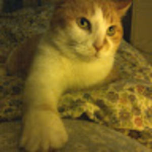 Meet your Posher, Stacey